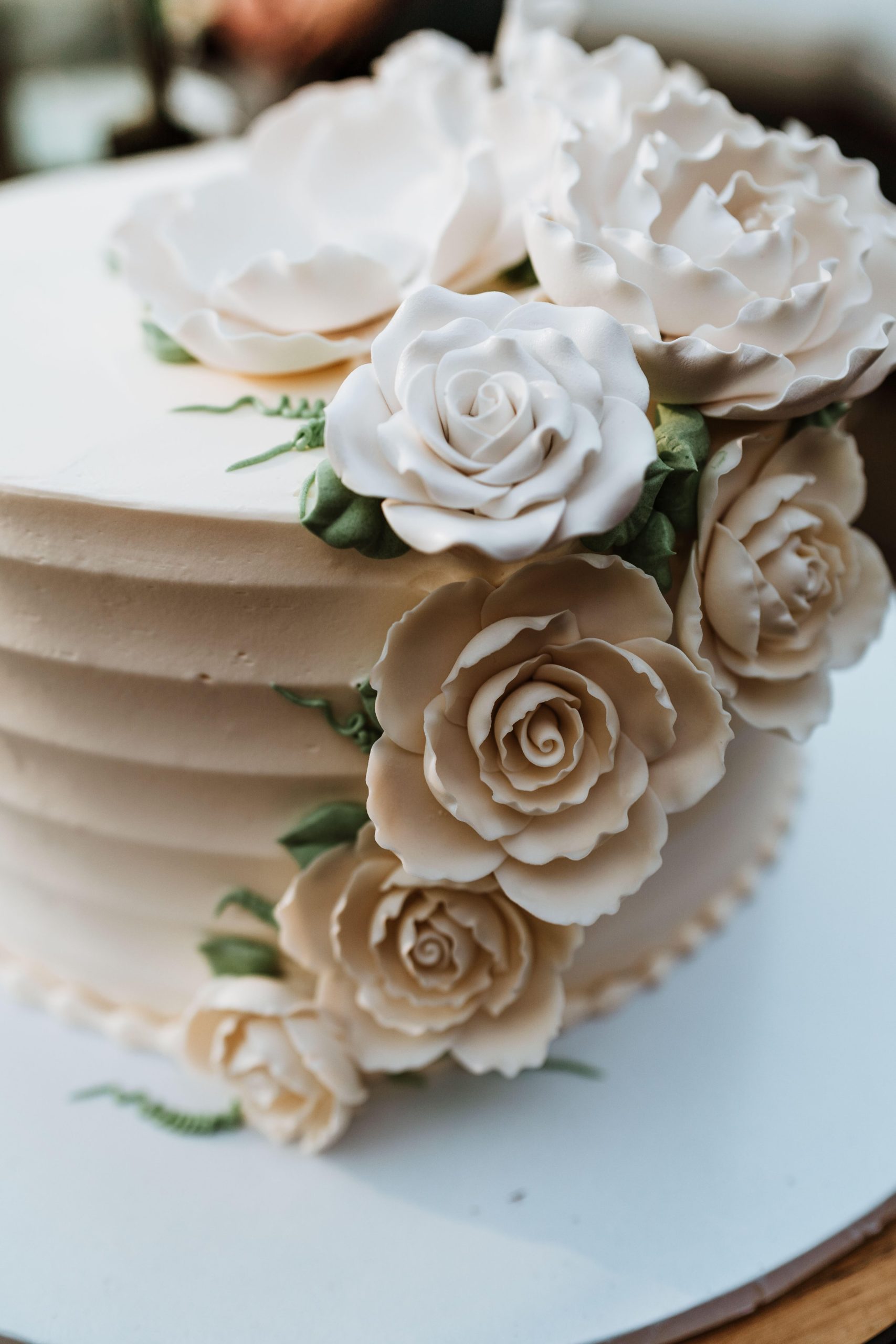Delicious cake from Lutz Bakery
