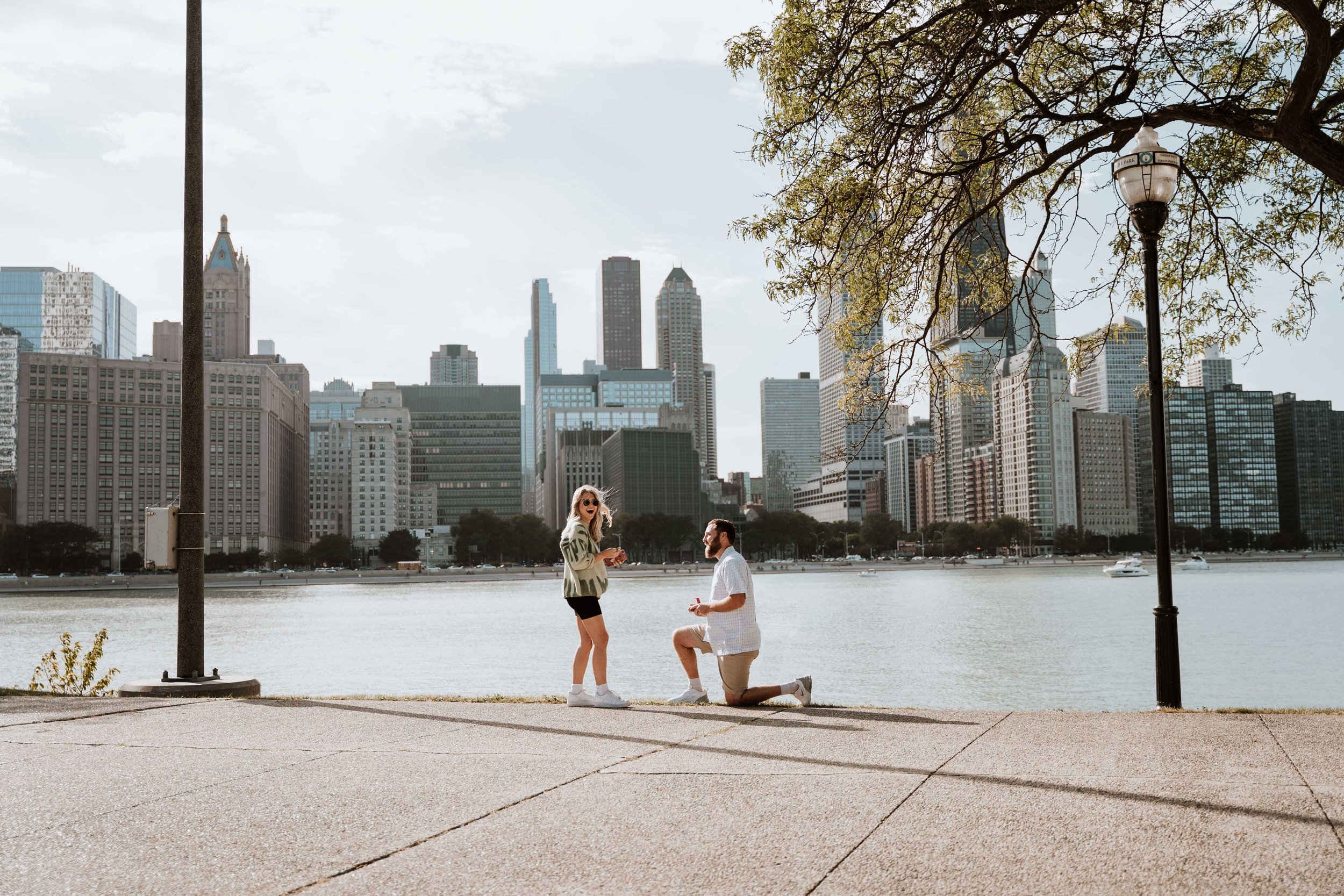 Proposal on the Chicago Lakefront