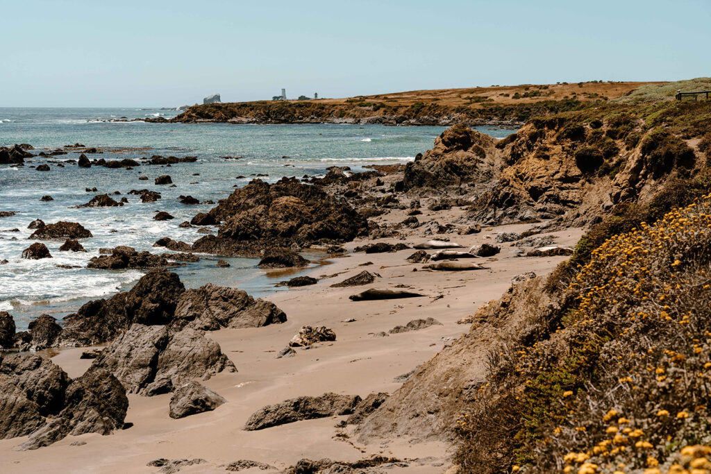 A view from a beach at Big Sur National Park.