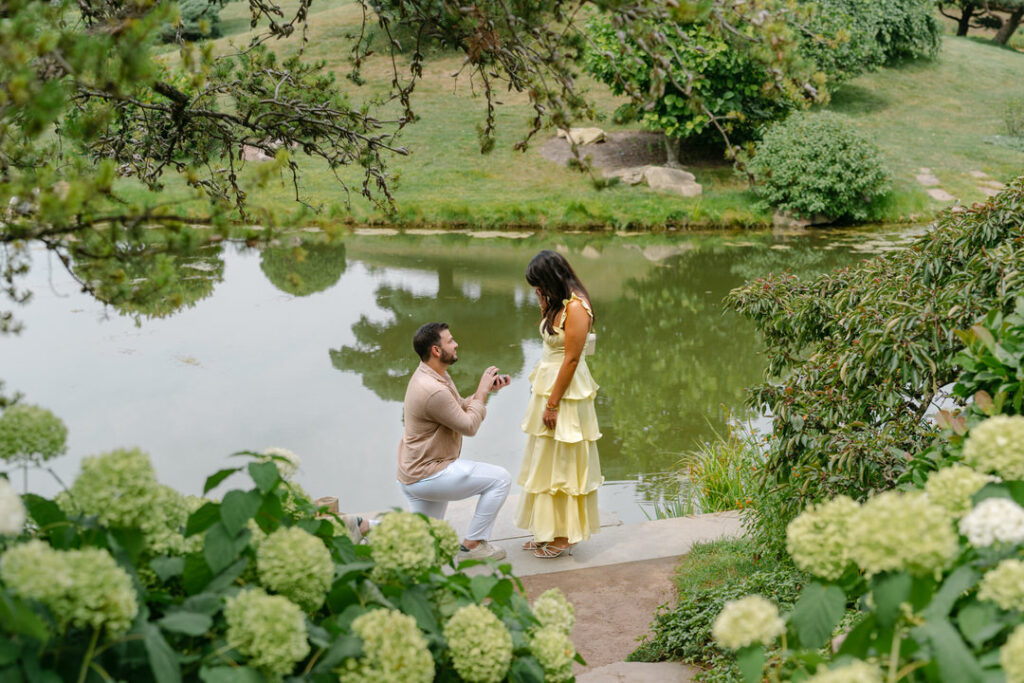 Romantic surprise proposal at the Japanese Garden bridge in Chicago Botanic Garden